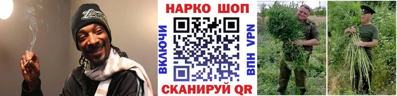 Где найти наркотики Зеленогорск COCAIN  Меф  Бошки Шишки 