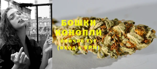 гидра Сафоново