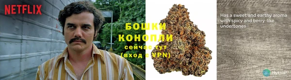 дурь Алексеевка