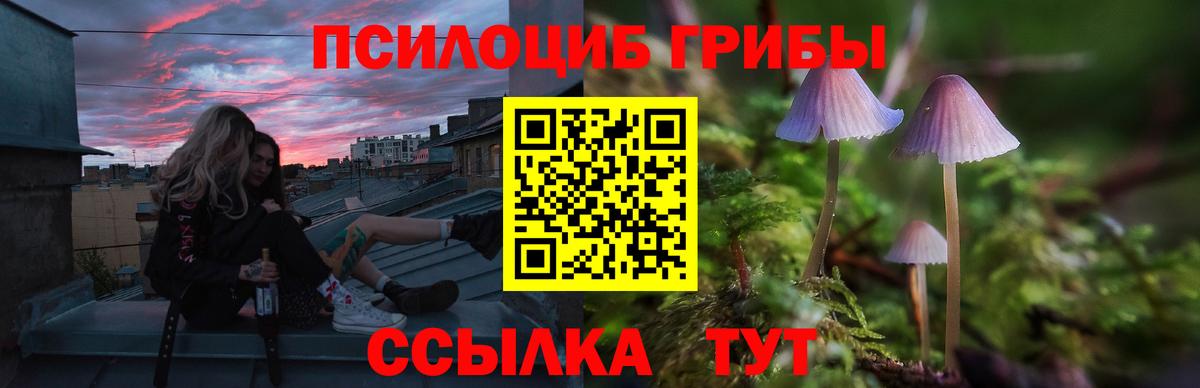 Зеленогорск  Псилоцибиновые грибы Psilocybine cubensis  Псилоцибиновые грибы прущие грибы  Вход с VPN 